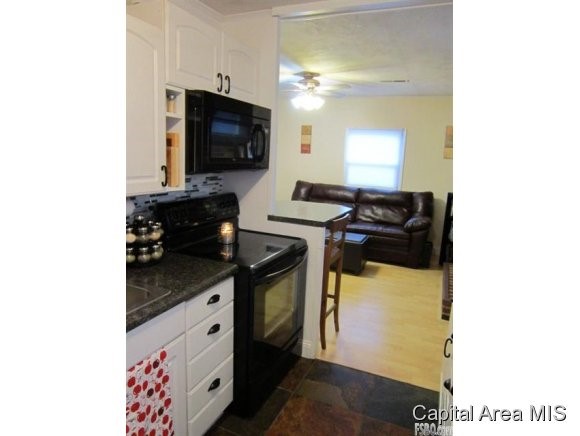 3031 South 2nd Street Springfield, IL 62703 - Photo 4 of 12