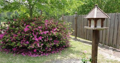 3312 Water Tank Road Delco, NC 28436 - Photo 5 of 19 Additional Photo