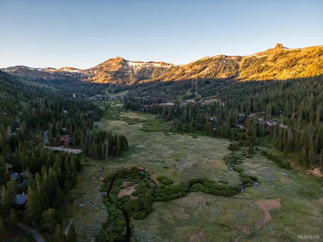a view of outdoor space and trees