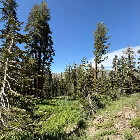 $155,000 | 34011 Danburg Drive, Unit 50, Kirkwood, CA 95646