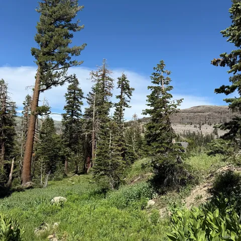 $155,000 | 34011 Danburg Drive, Unit 50, Kirkwood, CA 95646