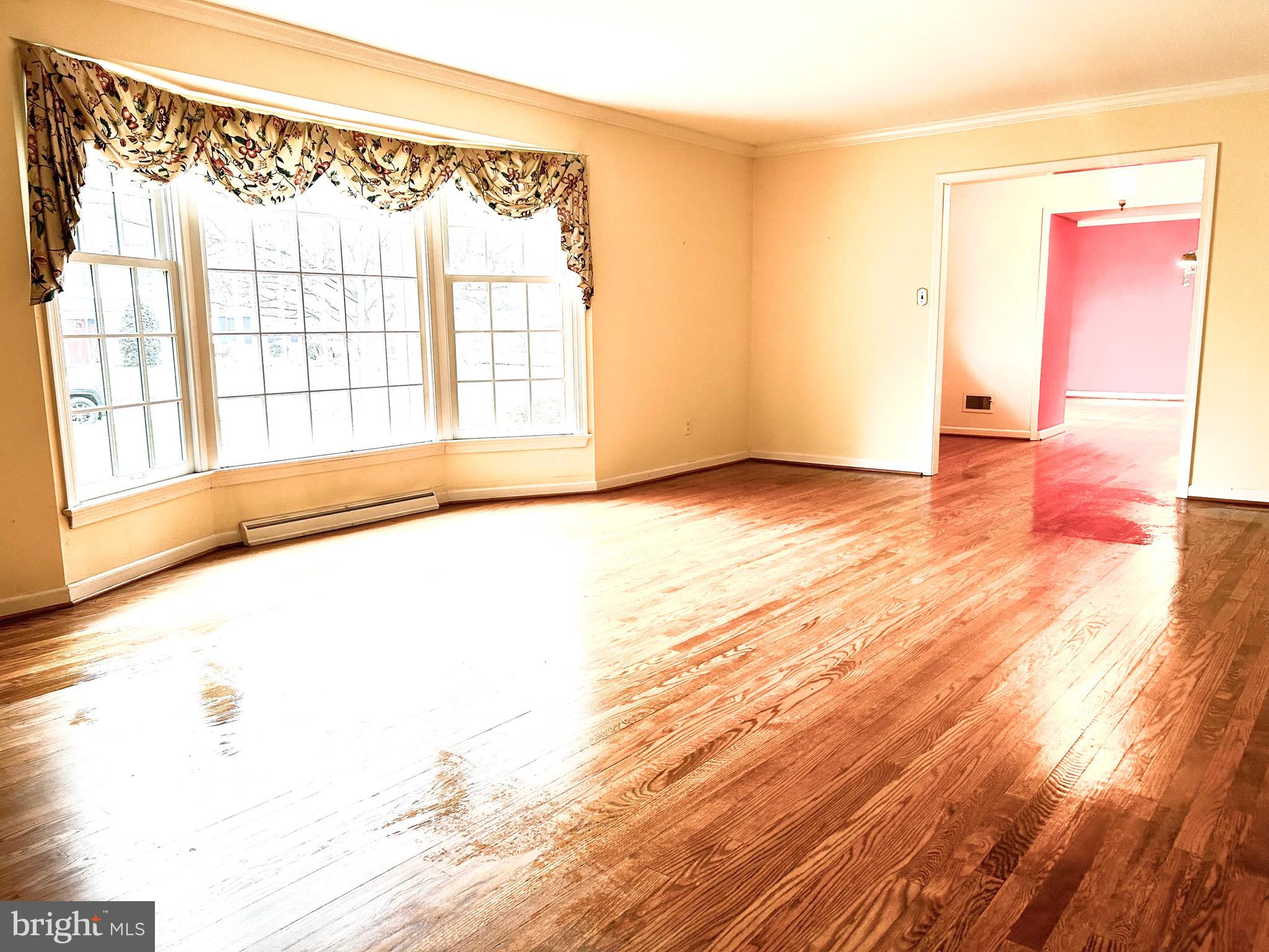 6 Pelham Road Wilmington, DE 19803 - Photo 11 of 41 the hardwoods gleam