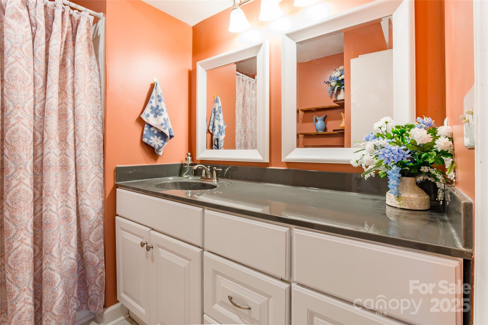 1604 Sharon Road West, Unit 23 Charlotte, NC 28210 - Photo 19 of 21 a bathroom with a granite countertop sink a mirror and a shower curtain