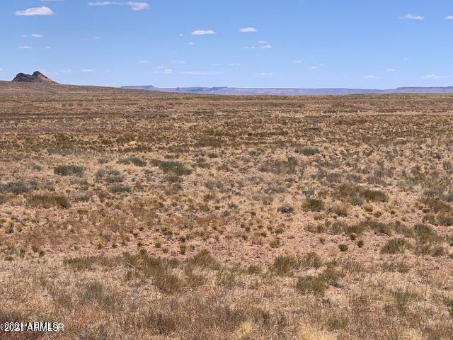 Painted Painted Ranches Holbrook, AZ 86025 - Photo 1 of 4 20210628044422076203000000-o