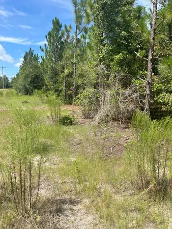 $69,900 | 6 Payne Pond Road, Unit PPF 6, Westville, SC 29175