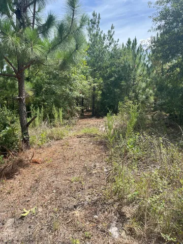 $69,900 | 6 Payne Pond Road, Unit PPF 6, Westville, SC 29175