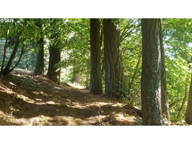 $1,350,000 | 10168 Stayton Road Southeast, Aumsville, OR 97325