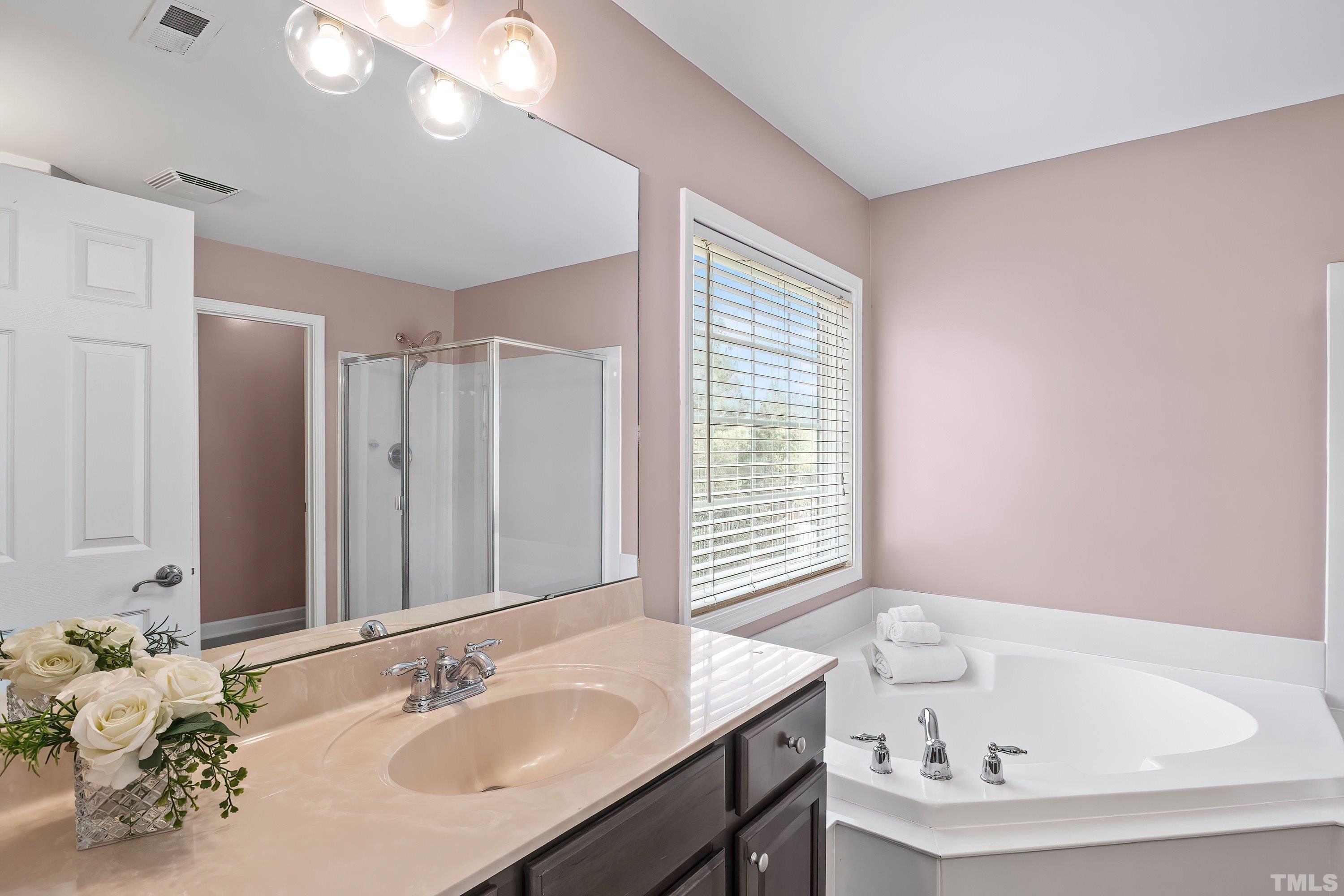 5225 Holly Ridge Farm Road Raleigh, NC 27616 - Photo 29 of 61 a bathroom with a tub sink and mirror