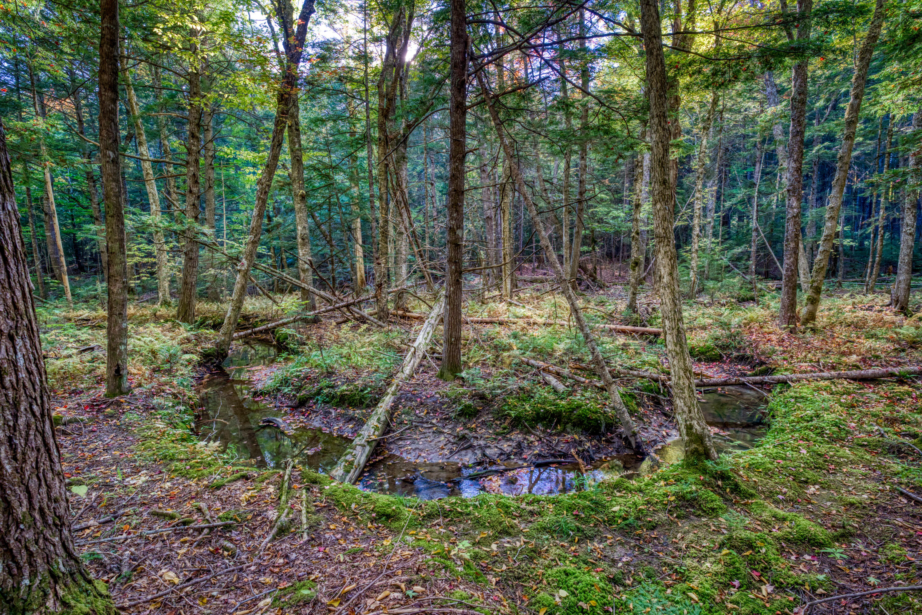 172 Orrin Road Ellsworth, ME 04605 - Photo 17 of 24 Trout Stream