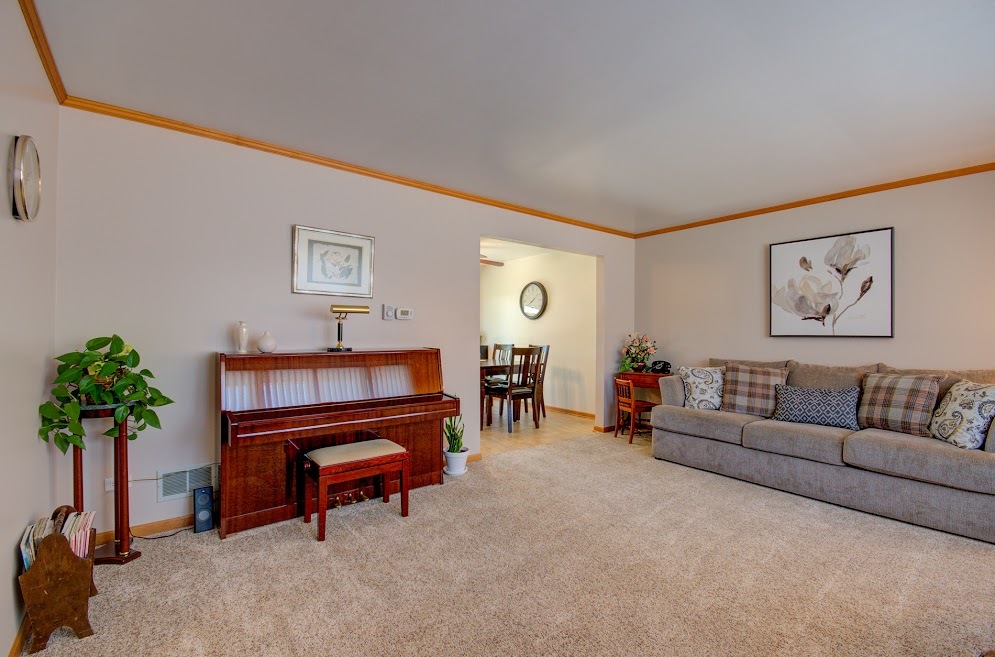 23019 South Kent Road Channahon, IL 60410 - Photo 16 of 36 a living room with furniture and a potted plant