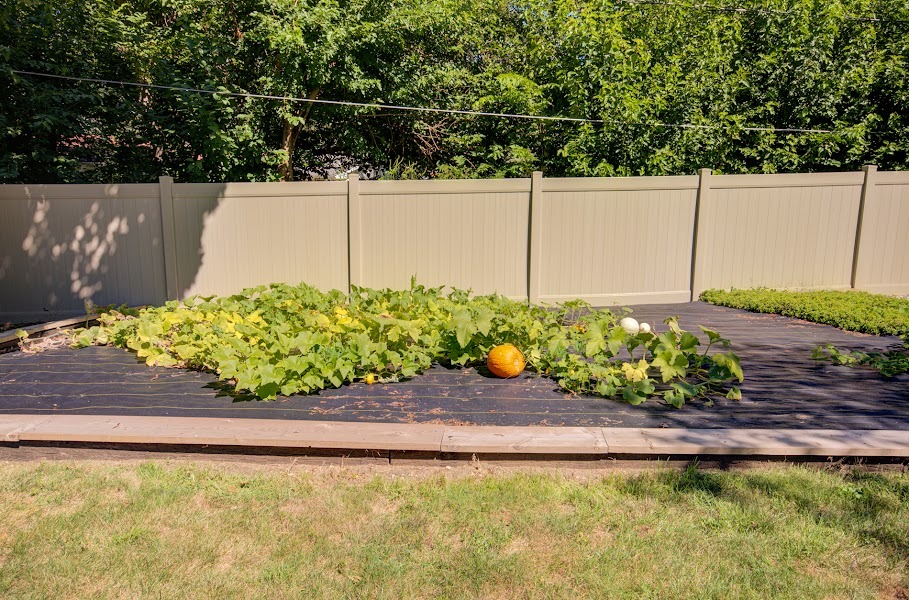 23019 South Kent Road Channahon, IL 60410 - Photo 34 of 36