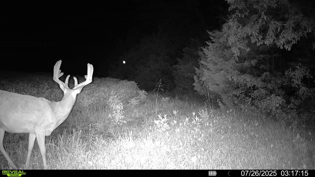 D218 County Road Armstrong, MO 65230 - Photo 67 of 73 Gallery Image 67