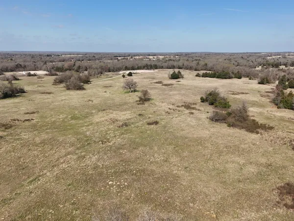 a view of a dry yard with trees in the background