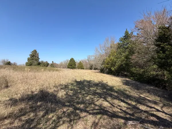 a view of large yard with large trees