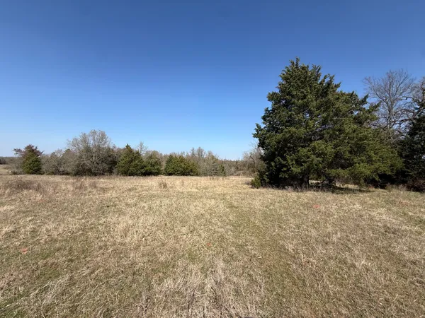 a view of lake with green space