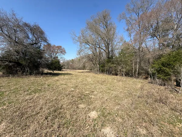 a view of outdoor space with trees