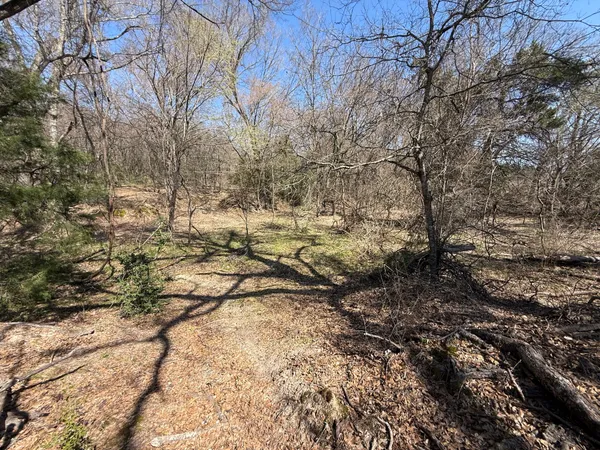 a view of an ocean beach
