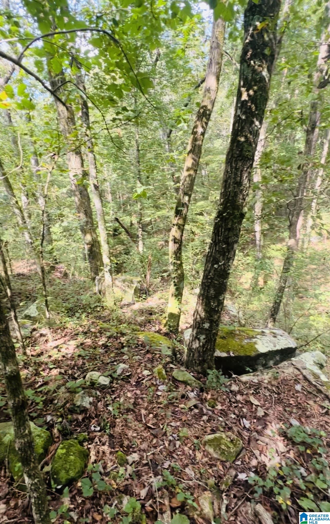 0 Joy Road Hayden, AL 35079 - Photo 19 of 23