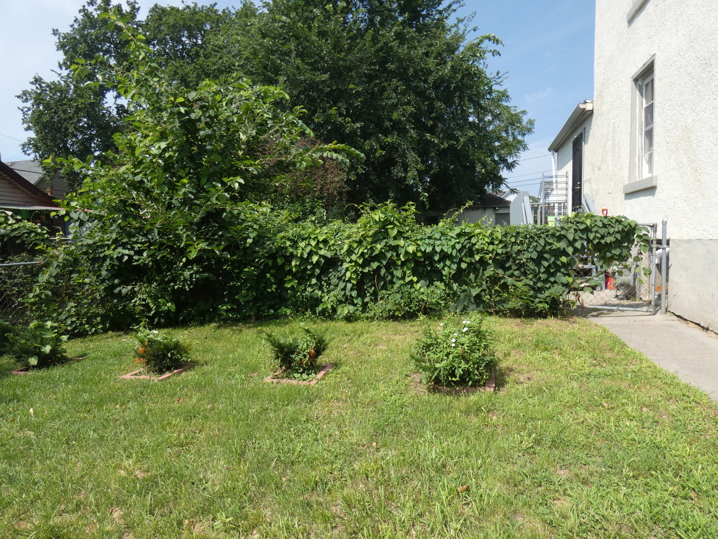 373 North Adams Street Kankakee, IL 60901 - Photo 29 of 31