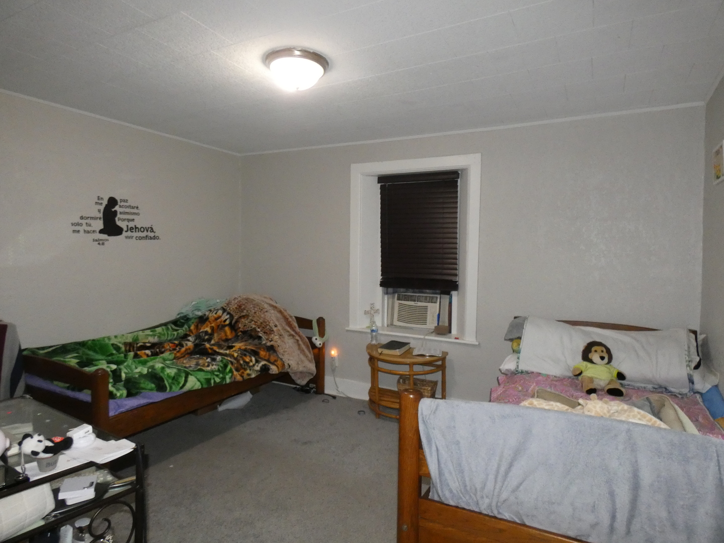 373 North Adams Street Kankakee, IL 60901 - Photo 10 of 31