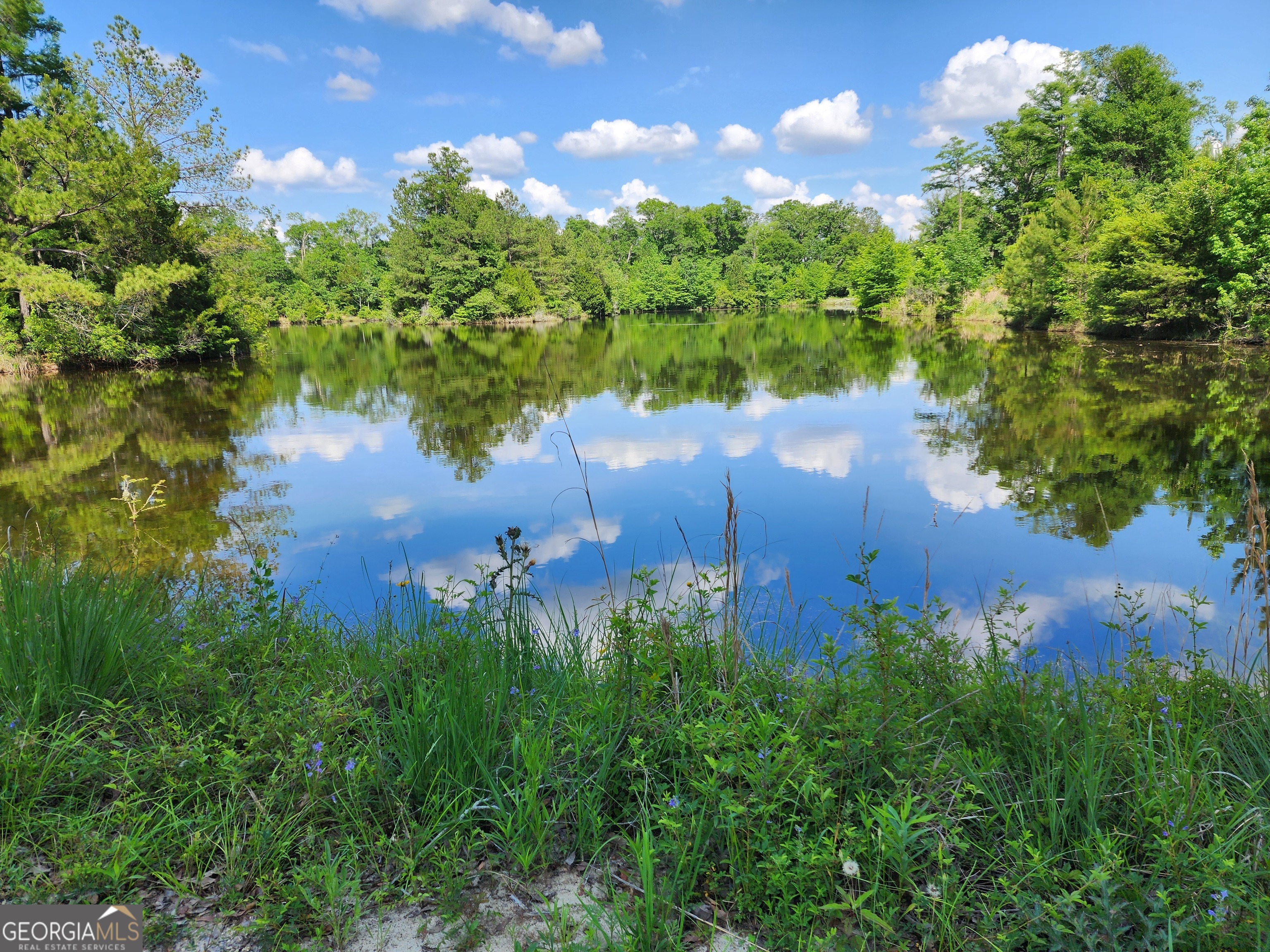 3524 Moss Island Court Albany, GA 31721 - Photo 20 of 25 an aerial view of a houses with yard