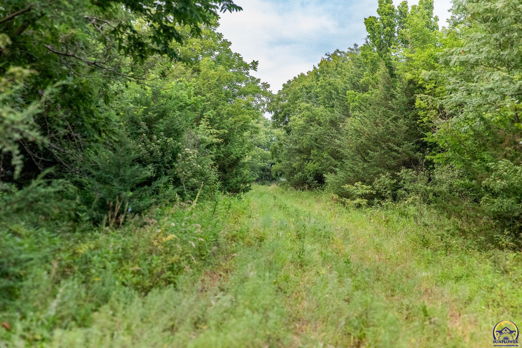 0 Walnut Creek Road Riley, KS 66531 - Photo 37 of 78 Gallery Image 37