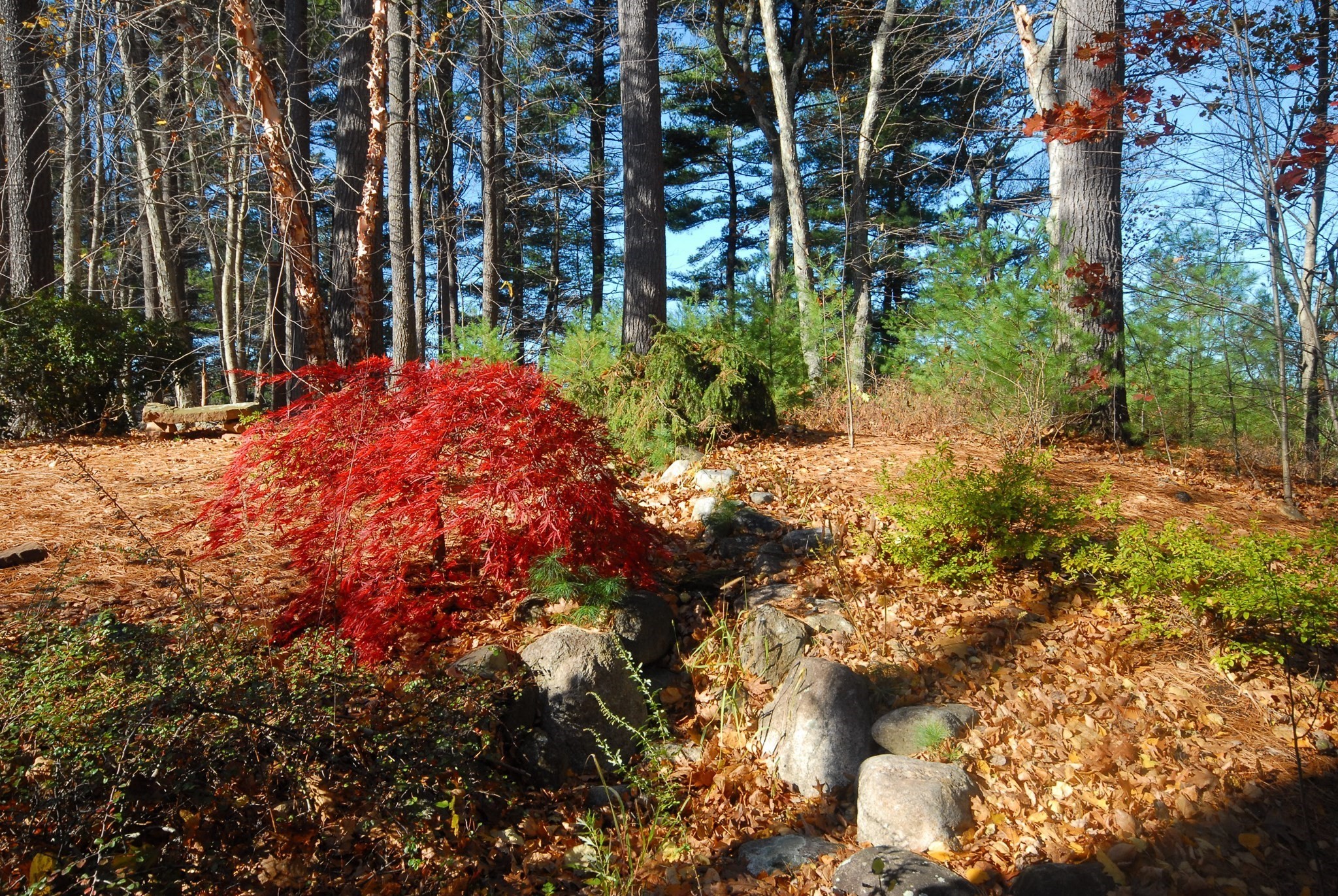 96 Forest Ridge Road, Unit 96 Concord, MA 01742 - Photo 33 of 36 Gallery Image 33