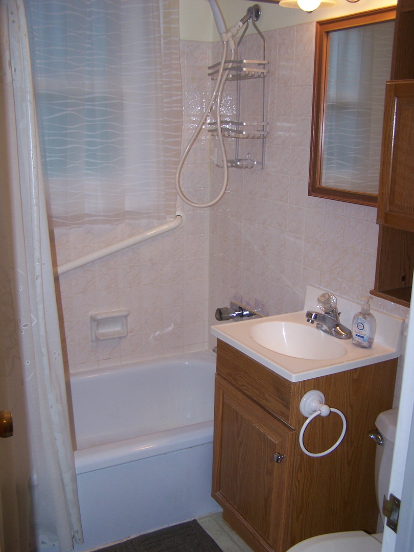 2404 School Drive Rolling Meadows, IL 60008 - Photo 13 of 14 a bathroom with a sink a vanity and a shower