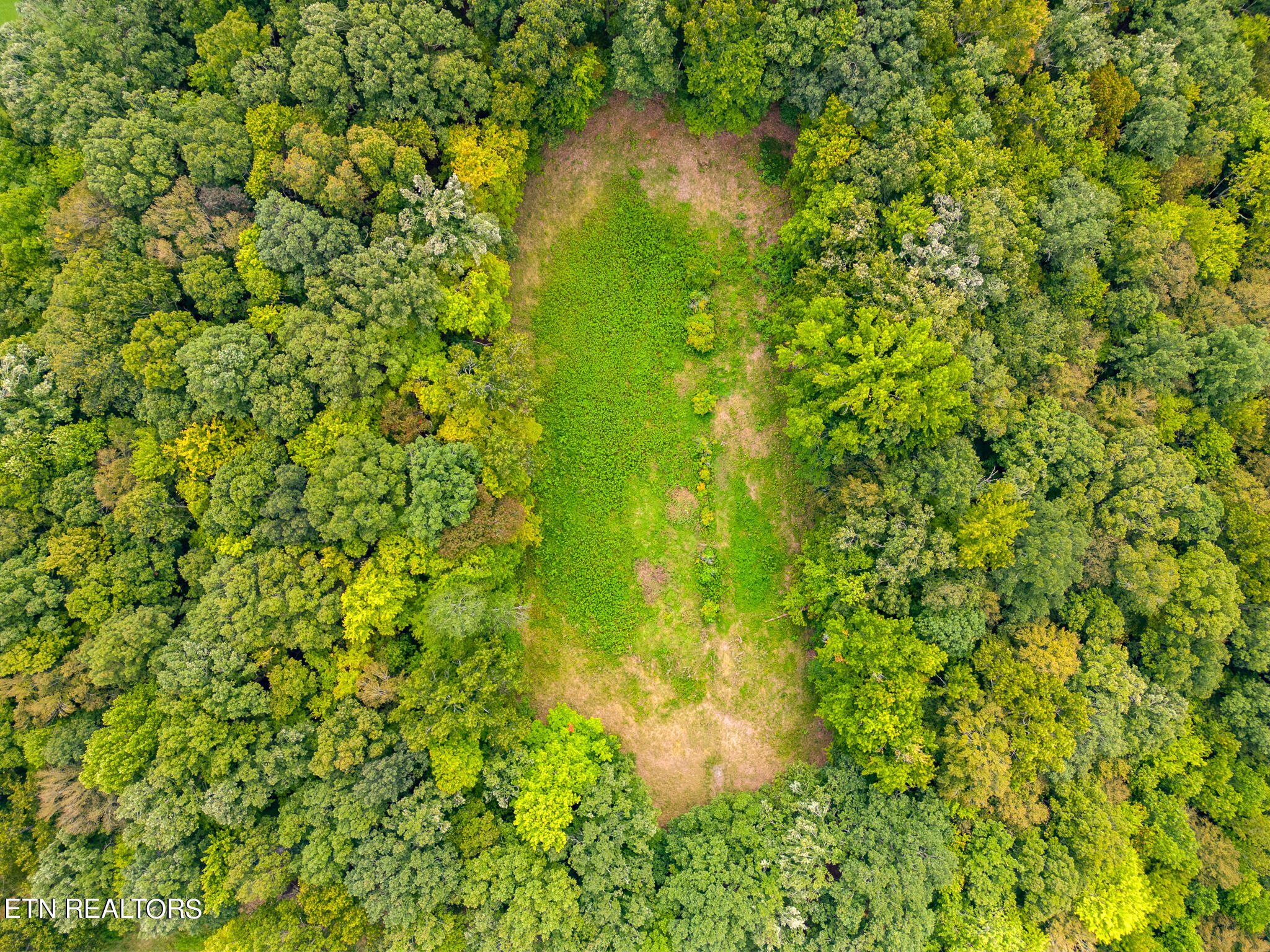 4.8-ac Wade Road Sparta, TN 38583 - Photo 14 of 19 mls-DJI_0251-HDR