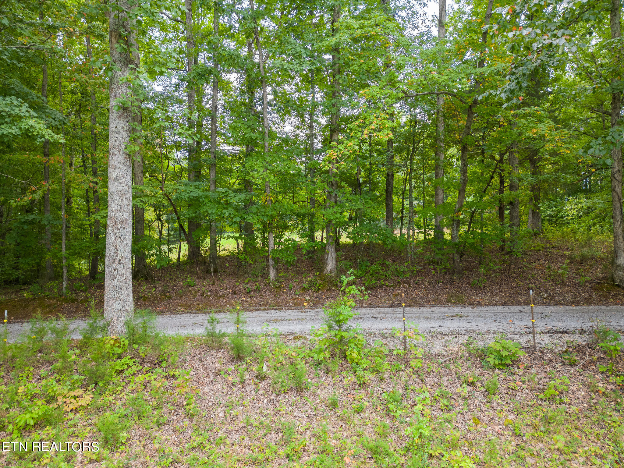 4.8-ac Wade Road Sparta, TN 38583 - Photo 15 of 19 mls-DJI_0271-HDR