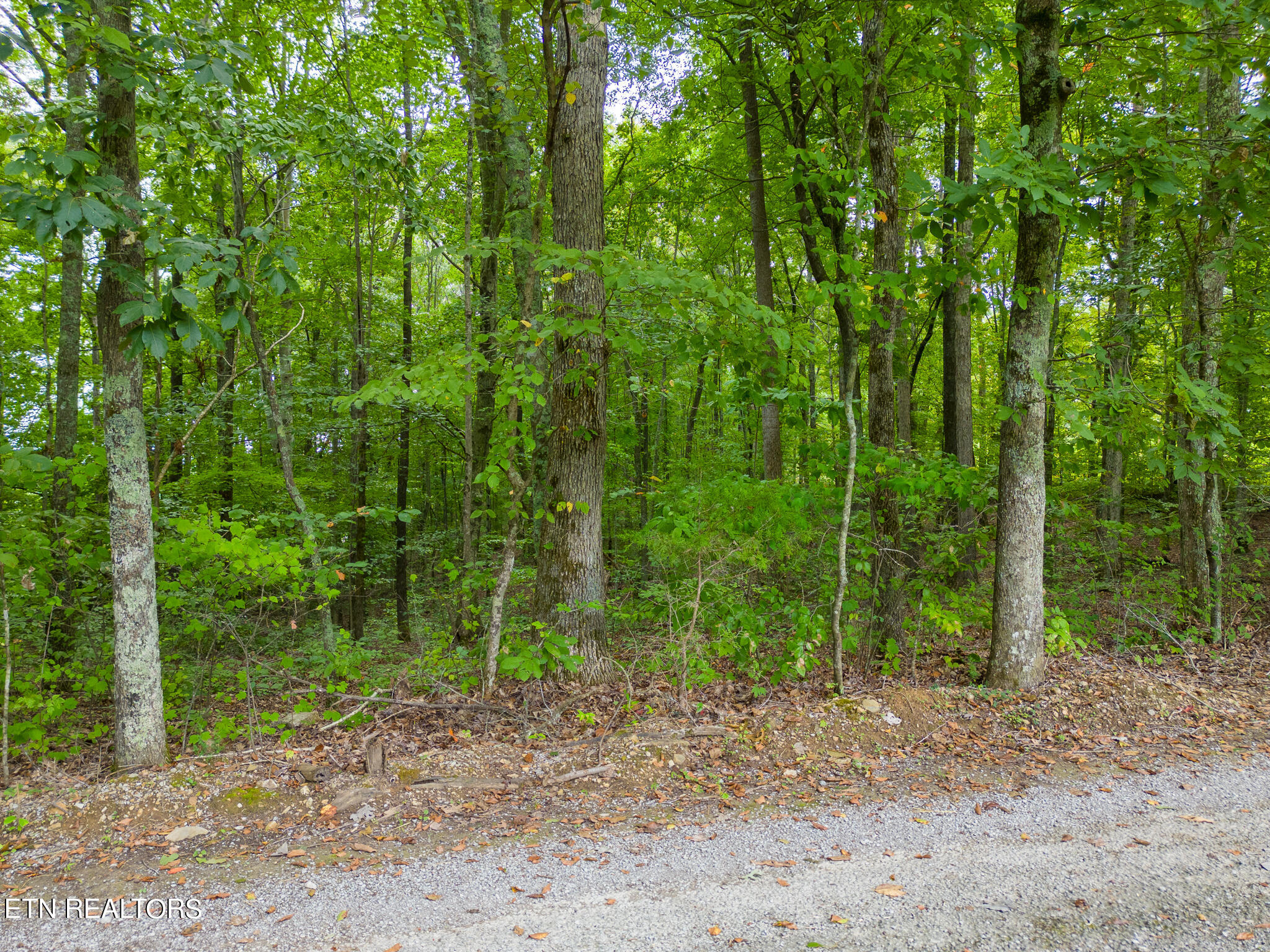 4.8-ac Wade Road Sparta, TN 38583 - Photo 16 of 19 mls-DJI_0276-HDR