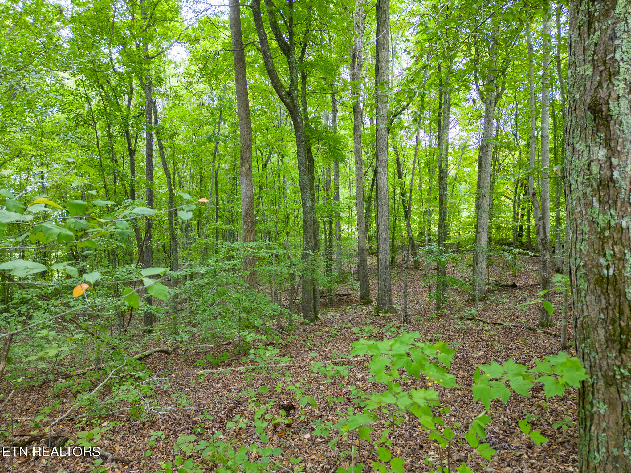 4.8-ac Wade Road Sparta, TN 38583 - Photo 17 of 19 mls-DJI_0281-HDR