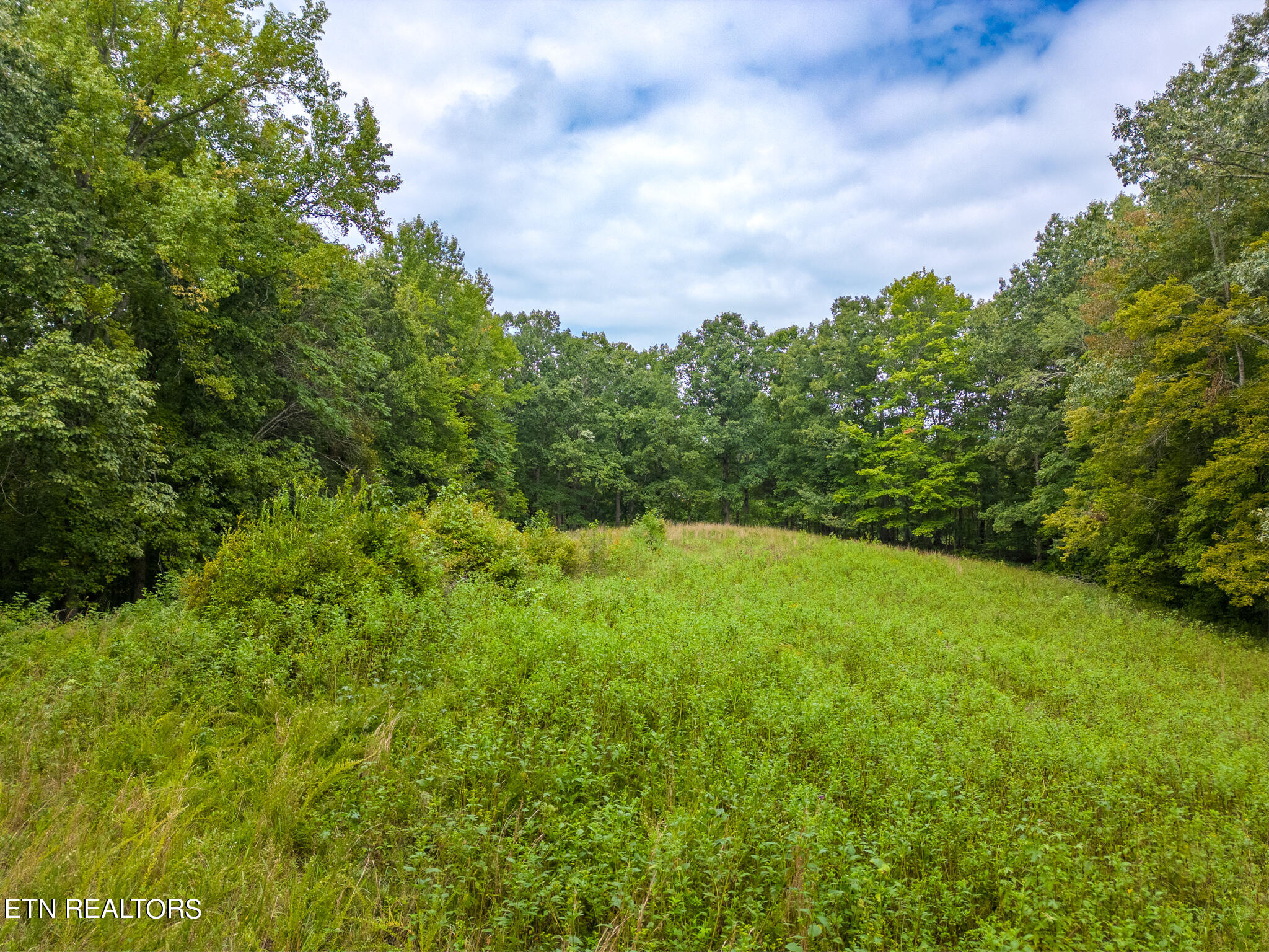 4.8-ac Wade Road Sparta, TN 38583 - Photo 4 of 19 mls-DJI_0261-HDR