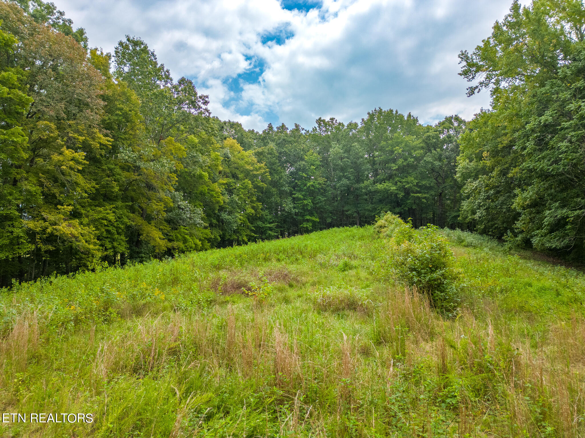 4.8-ac Wade Road Sparta, TN 38583 - Photo 5 of 19 mls-DJI_0256-HDR