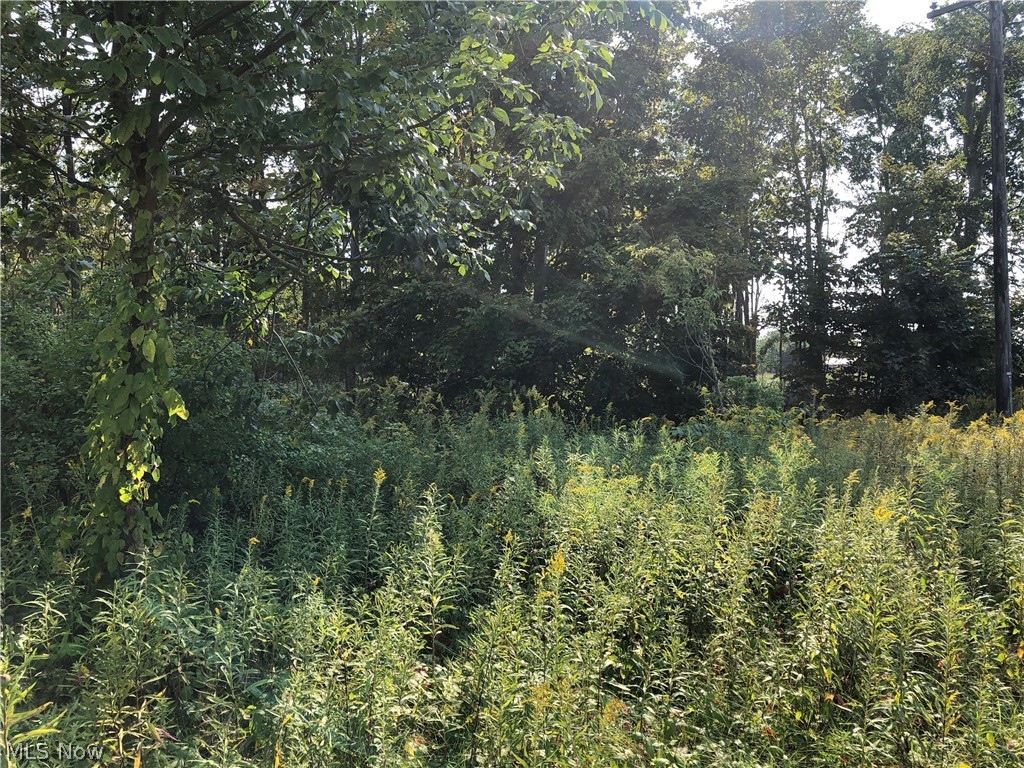 322 State Route Williamsfield, OH 44093 - Photo 2 of 3 Gallery Image 2