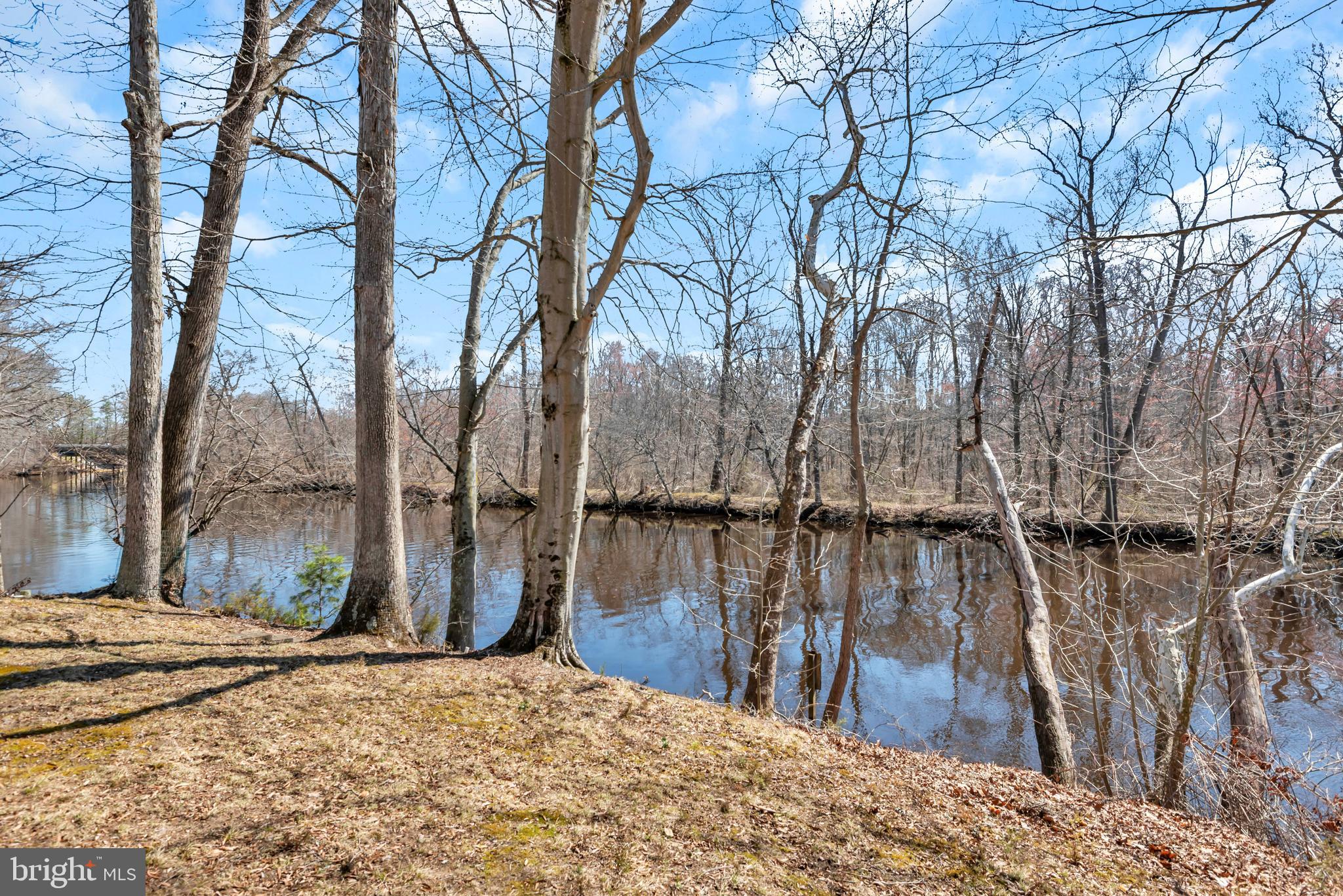 31667 West Edge Road Millington, MD 21651 - Photo 61 of 72