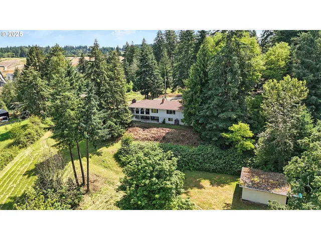 a view of a backyard