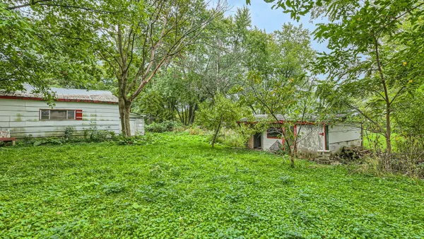 a backyard of a house with plants and large tree