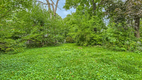 a view of a lush green space