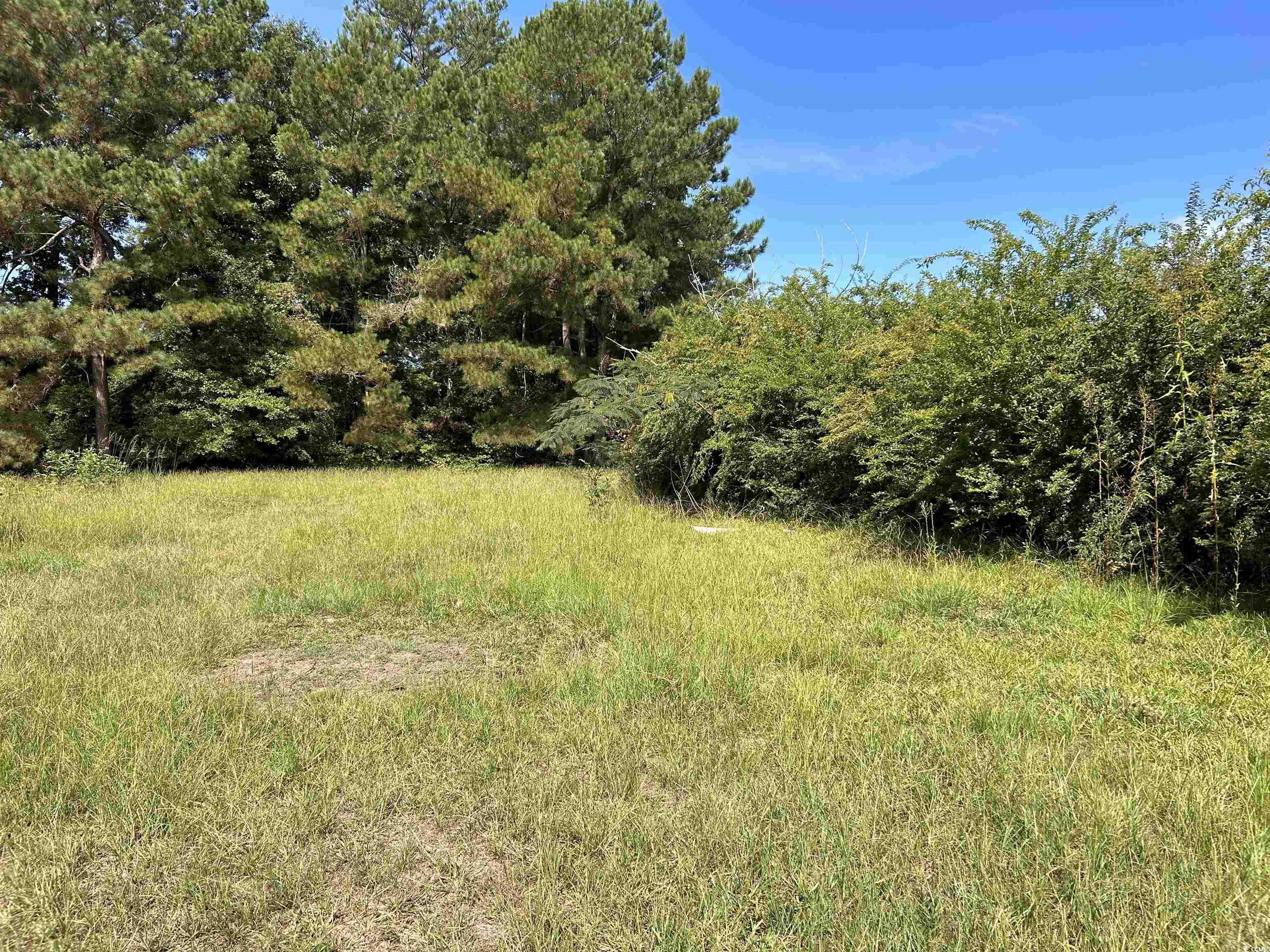 6862 Moses Dingle Road Manning, SC 29102 - Photo 12 of 13