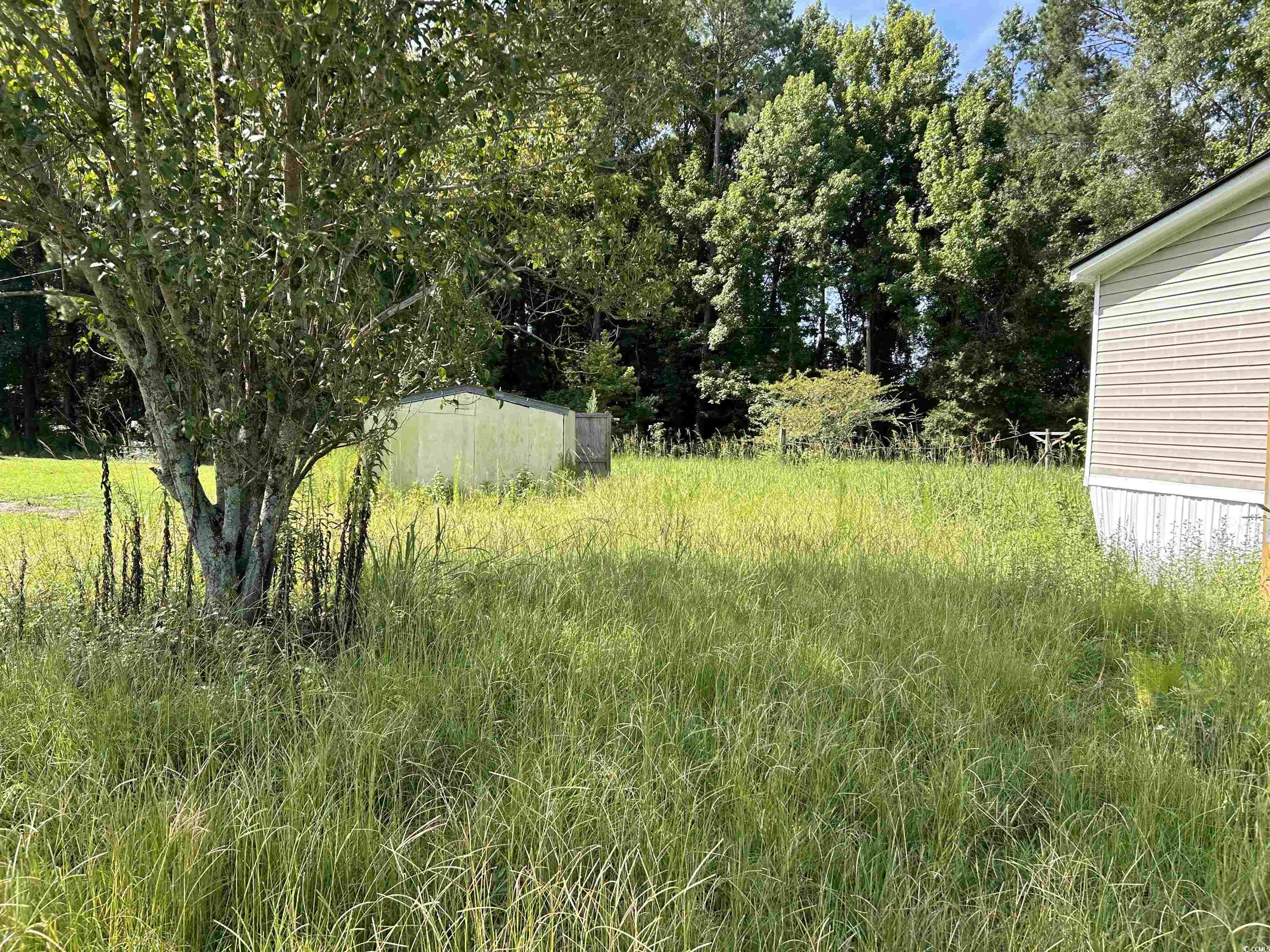 6862 Moses Dingle Road Manning, SC 29102 - Photo 13 of 13