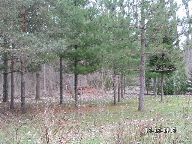 70598 Wolcott Road Armada, MI 48005 - Photo 6 of 20 #6 property.jpg