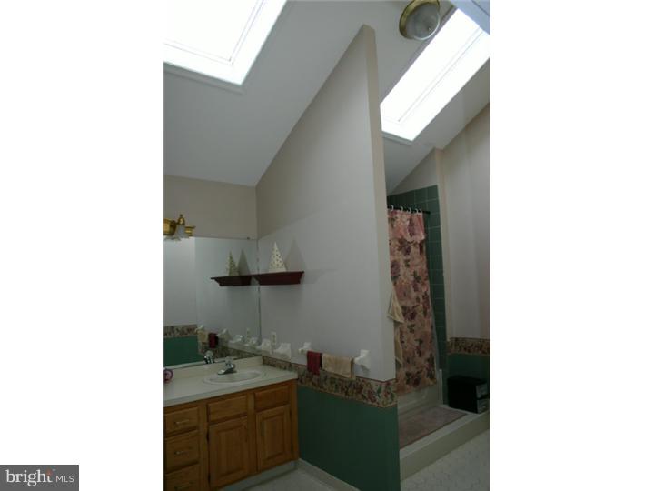 733 Juliustown Georgetown Road Jobstown, NJ 08041 - Photo 11 of 21 Master Bathroom