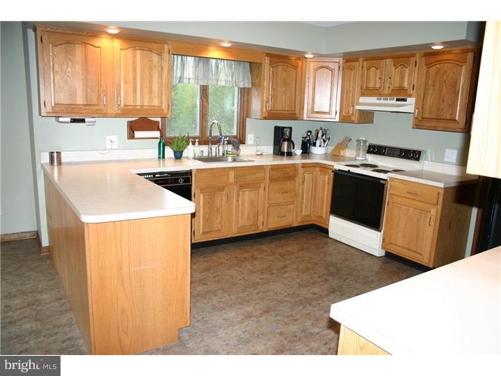 733 Juliustown Georgetown Road Jobstown, NJ 08041 - Photo 7 of 21 Kitchen