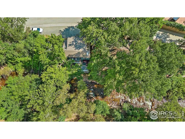 a open area with trees in the background