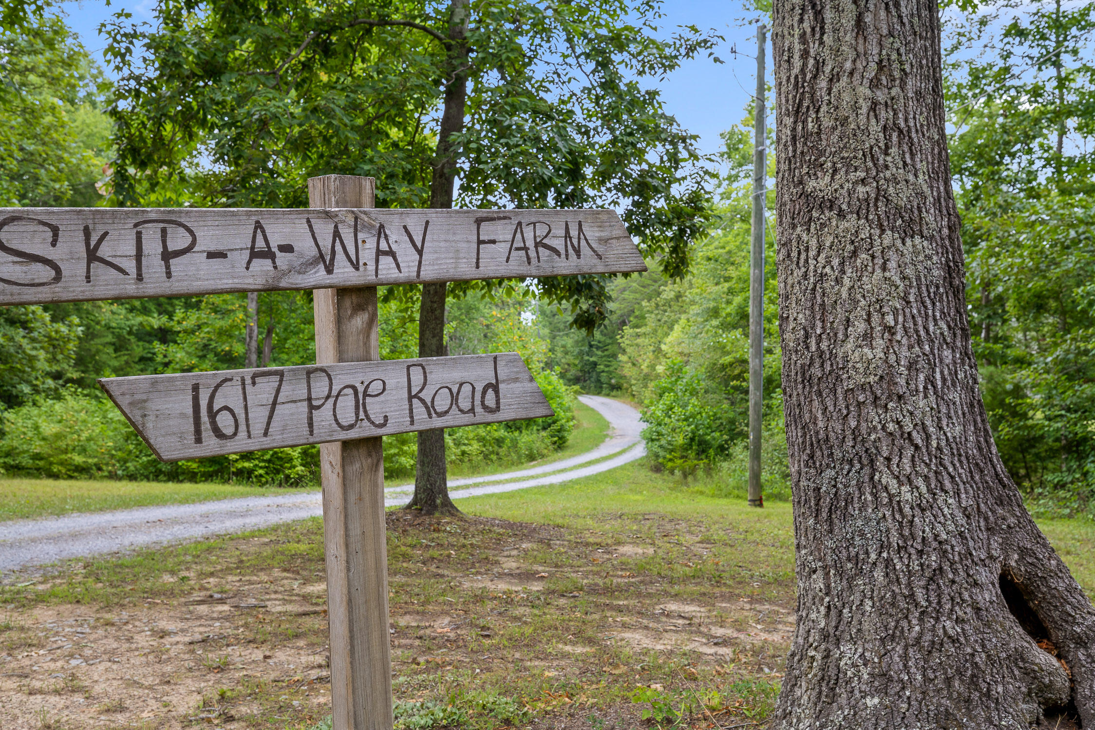 1617 Poe Road Soddy Daisy, TN 37379 - Photo 3 of 38 Poe
