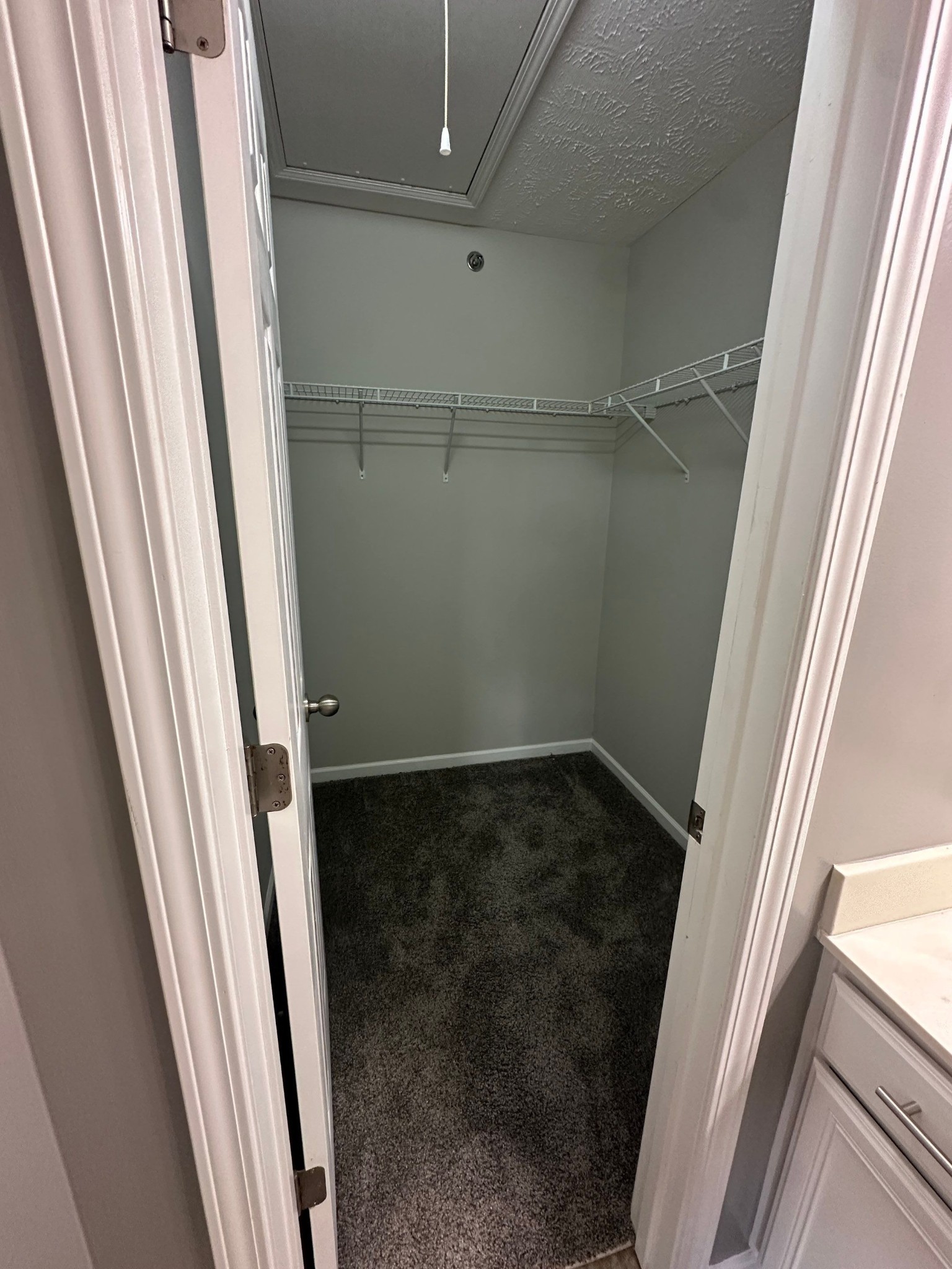 4020 Pavati Trace Spring Hill, TN 37174 - Photo 14 of 19 a view of a room with wooden floor