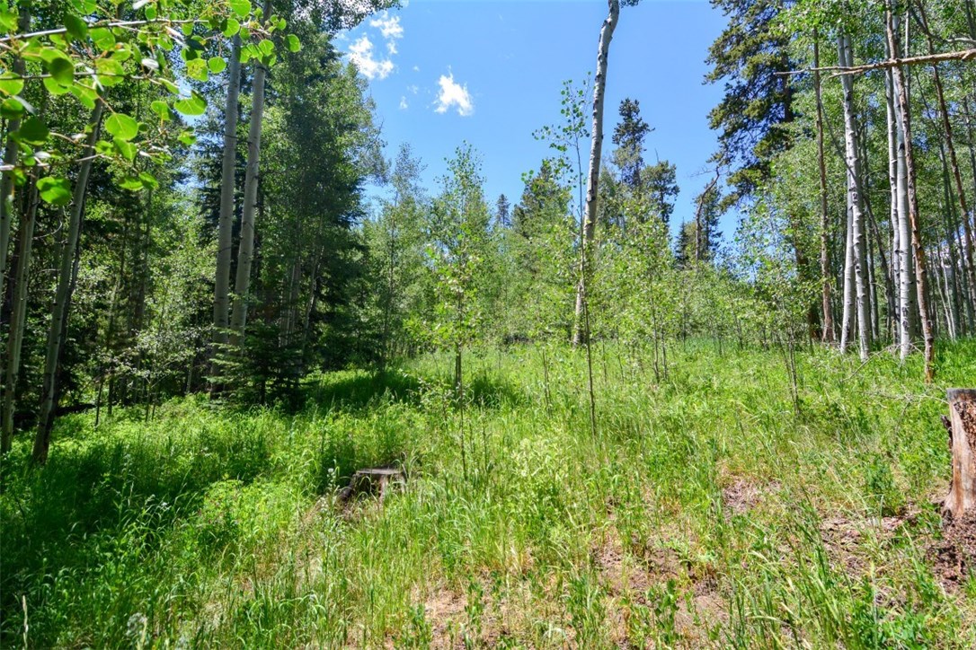 1815 Golden Eagle Road Silverthorne, CO 80498 - Photo 9 of 30 Gallery Image 9