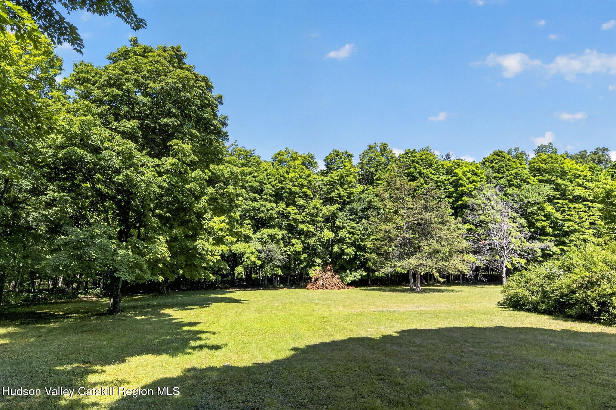 57 Bogart Road Palenville, NY 12463 - Photo 35 of 35 backyard