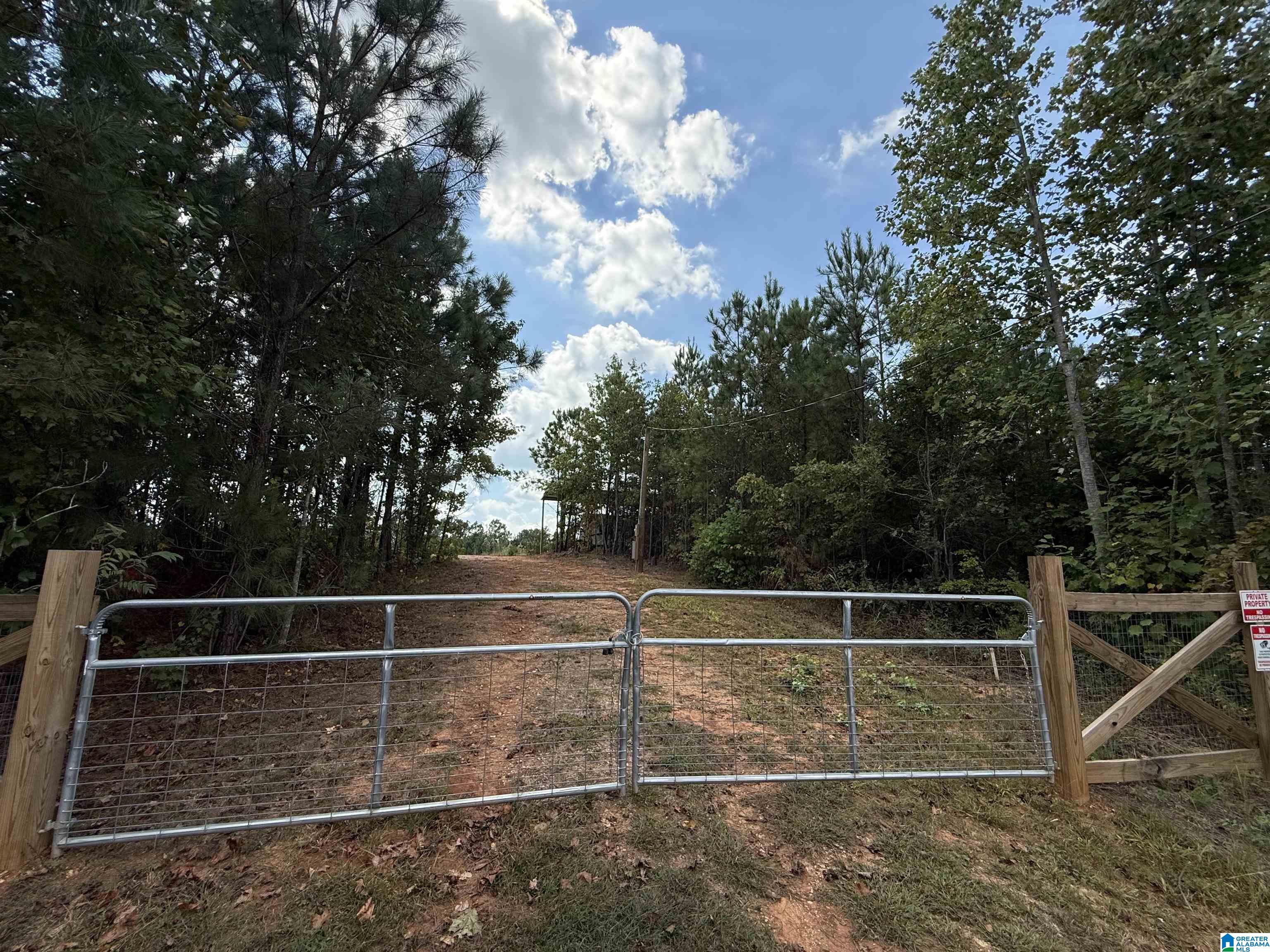7070 Rendalia Motorway Talladega, AL 35160 - Photo 2 of 28